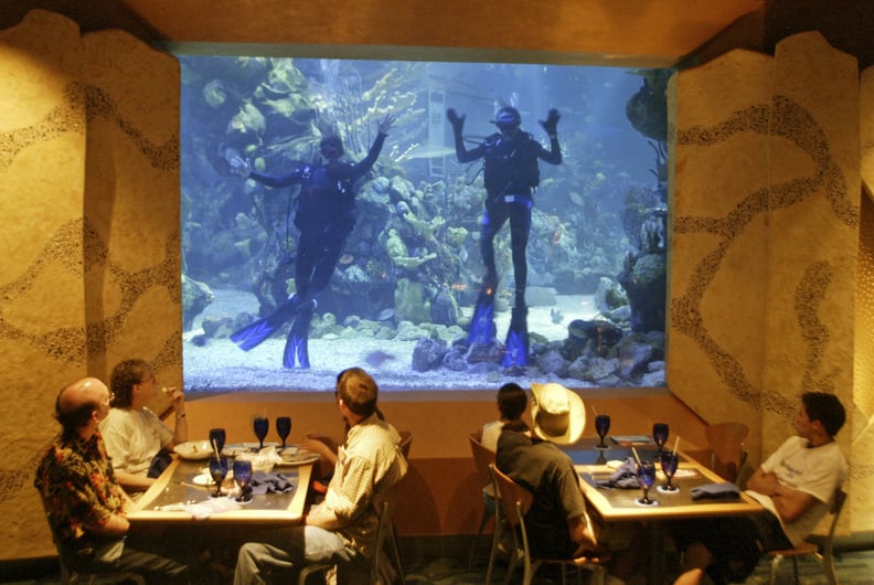 Go Scuba Diving or Snorkeling at Epcot