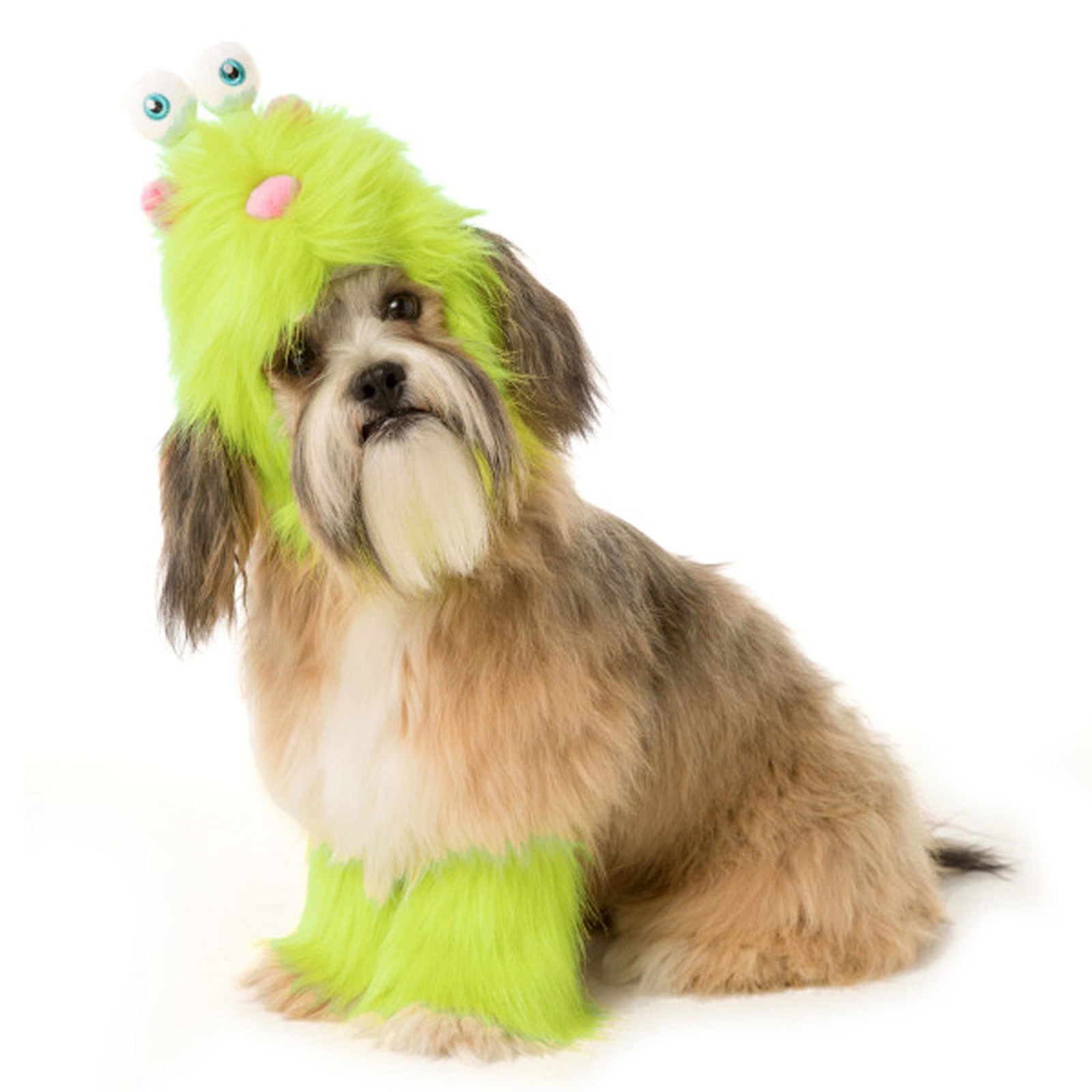 Caterpillar dog shop toy petsmart