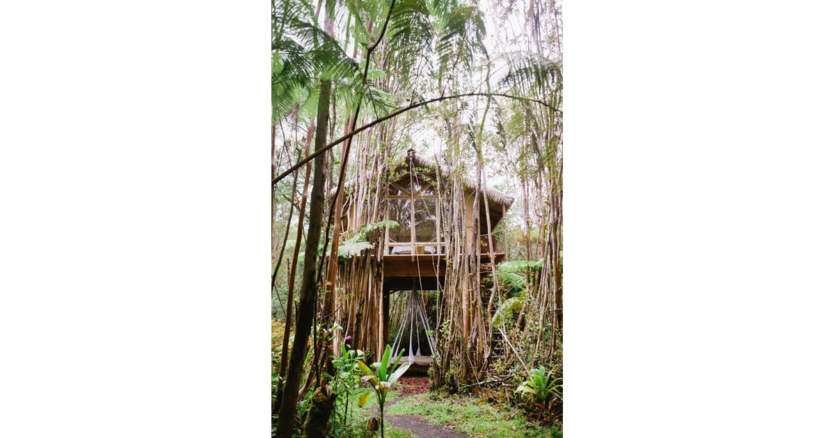 Tree House in Hawaii POPSUGAR Smart Living Photo 3