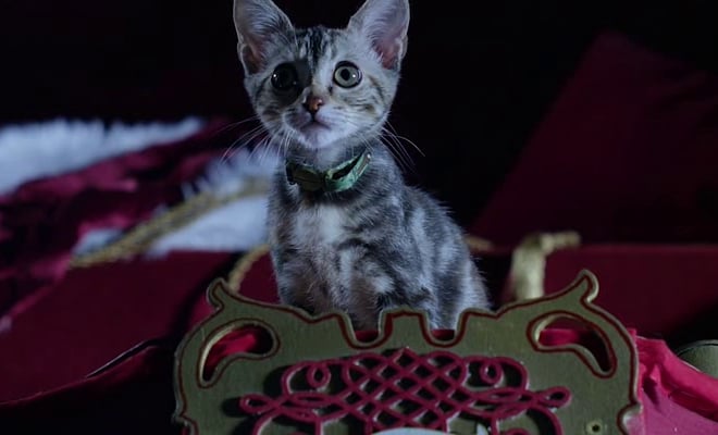 Santa Claws TV Shows and Movies on Netflix For Kids