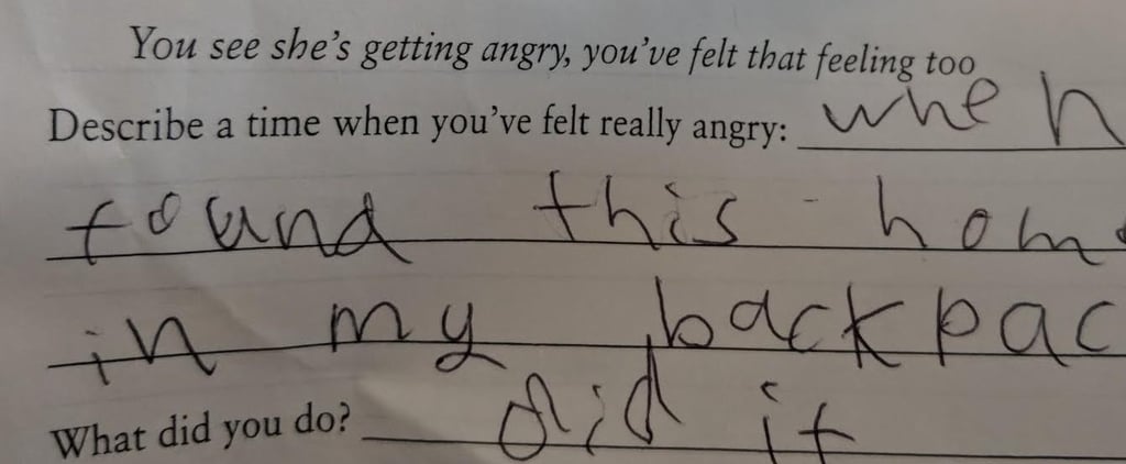 Boy's Homework Answer About Anger