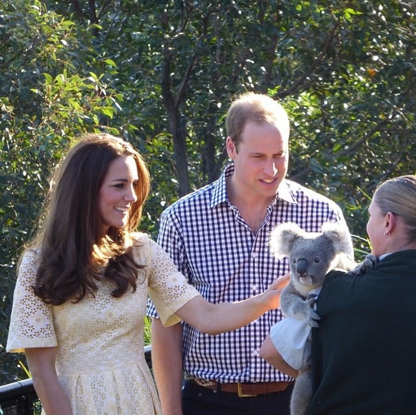 Kate and William petted a koala at a zoo in Australia.
Source: Instagram user sperrypeoplemag