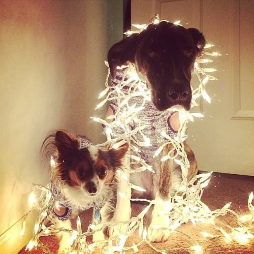 Christmas Pinterest Fails