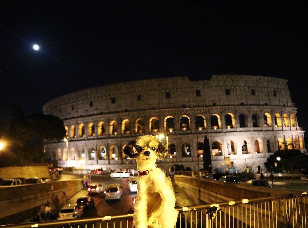 . . . but had to come back at night for an epic night shot!