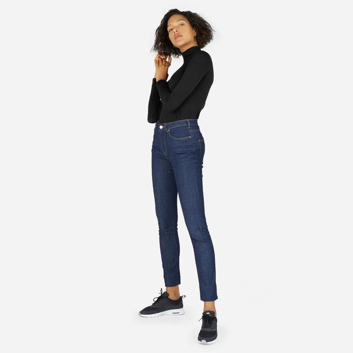 Everlane The Pima Stretch Turtleneck