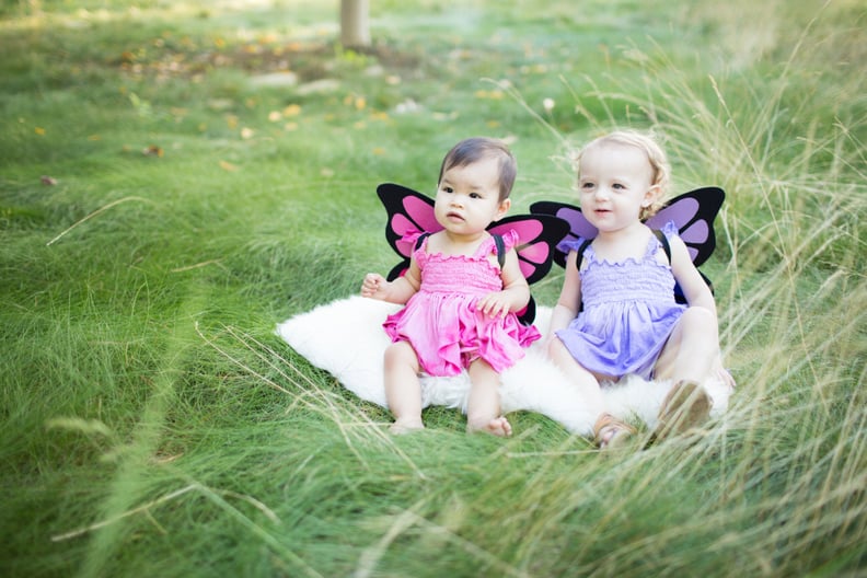 Little Butterfly Fairies