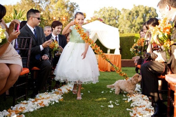 puppy flower girl