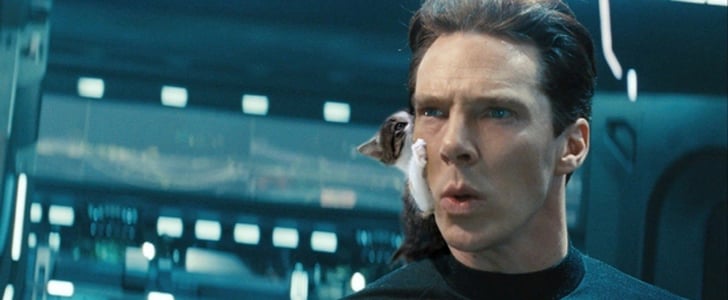 Benedict Cumberbatch With Cats