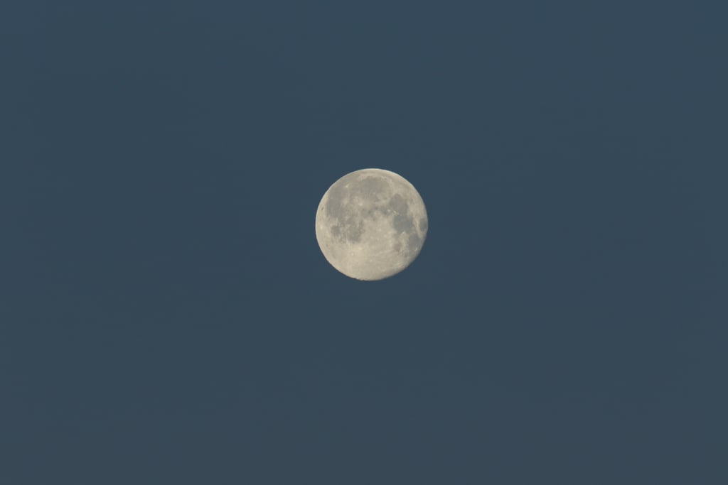 Wolf Moon