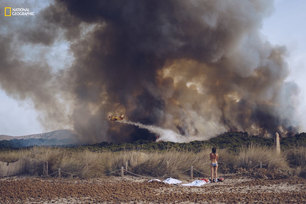 Environmental Issues, First Honorable Mention — Wildfire at the beach