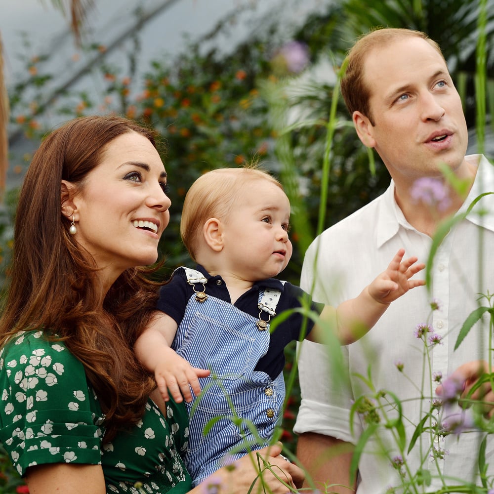 The Cambridge Family Best Celebrity Family of 2014 Poll POPSUGAR