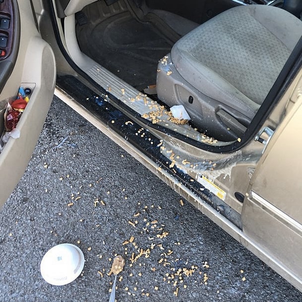 "The roof of my frozen car was a slip and slide for my cereal this morning... at least the bowl didn't break."