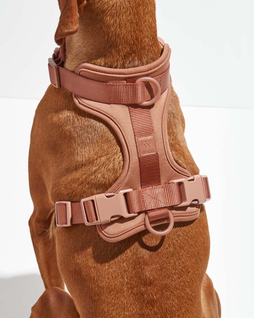 Wild One Cushioned Dog Harness ($48)
We've had our share of harnesses over the years, and this soft, double-layer neoprene number from Wild One trumps them all. The adjustable straps on the neck, chest, and back make it easier to find the perfect fit, while the three buckle closures keep your baby secure. That's important because Theo has slipped out of a harness before — but for a multi-dog household like ours, the three points of attachment are also a huge selling point. Simply clip the leash to the upper or lower back or to the front to match any pup's pace. For that, we like the Wild One Waterproof Dog Leash ($48) too.