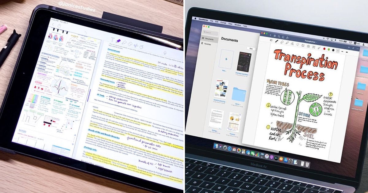 Why Every Student Needs To Download The Goodnotes App Popsugar Tech