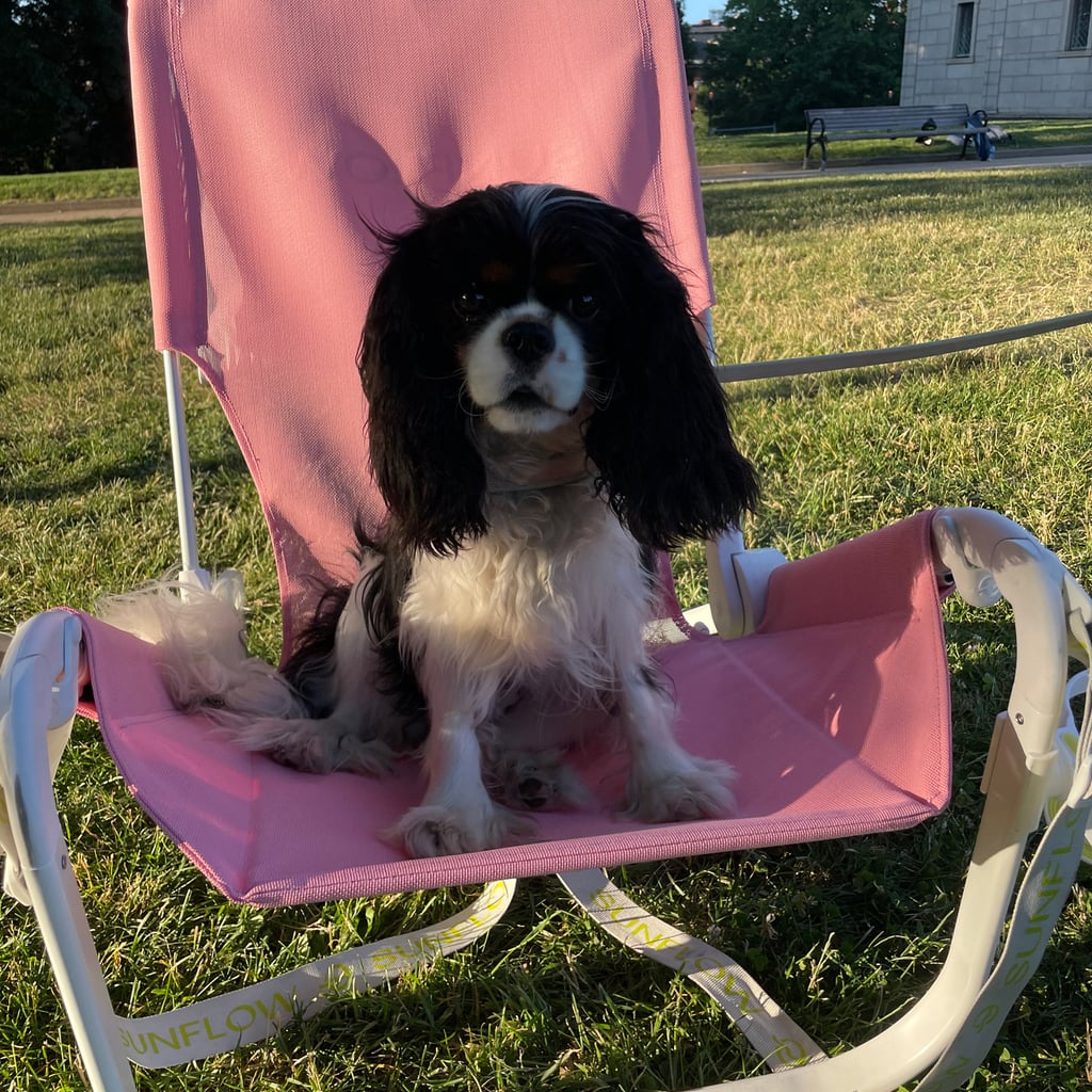 My Honest Review of the Sunflow Beach Chair