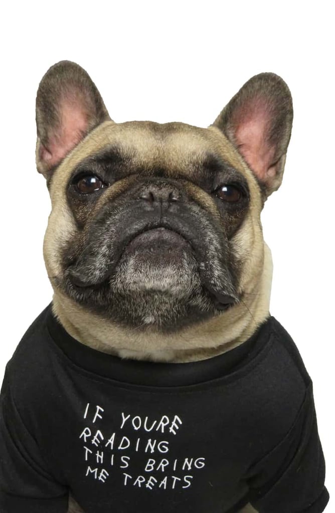 Pawmain "If You're Reading This" Pet Shirt