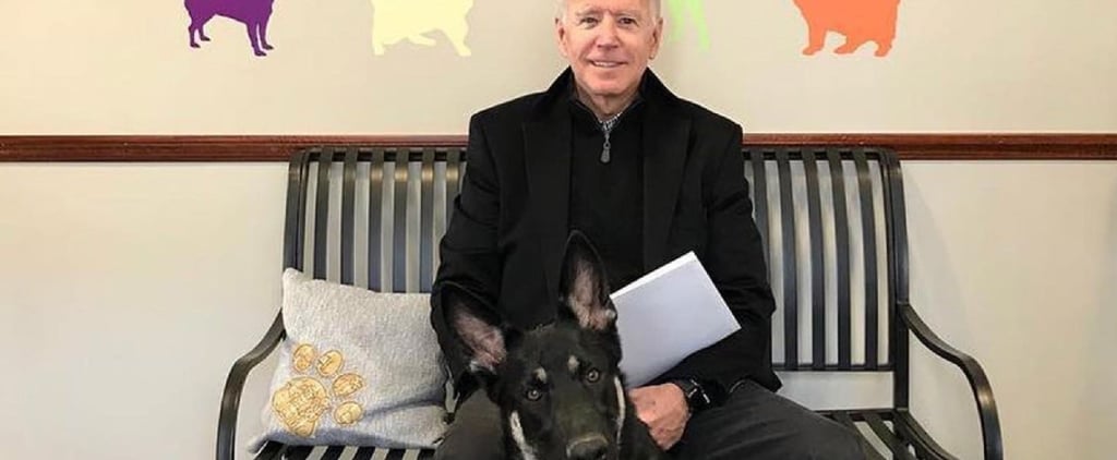 Joe Biden's Dog Major Is Getting an Indoguration Event