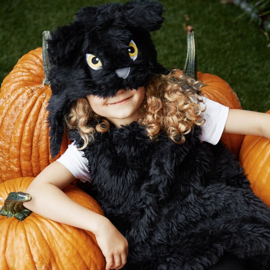 Why Are Pumpkin Patches So Expensive