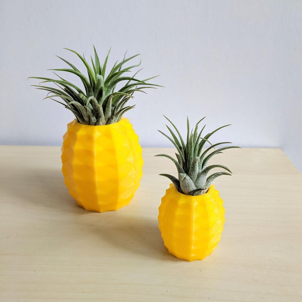Etsy's Pineapple Air Plant Holders Are Beyond Cute