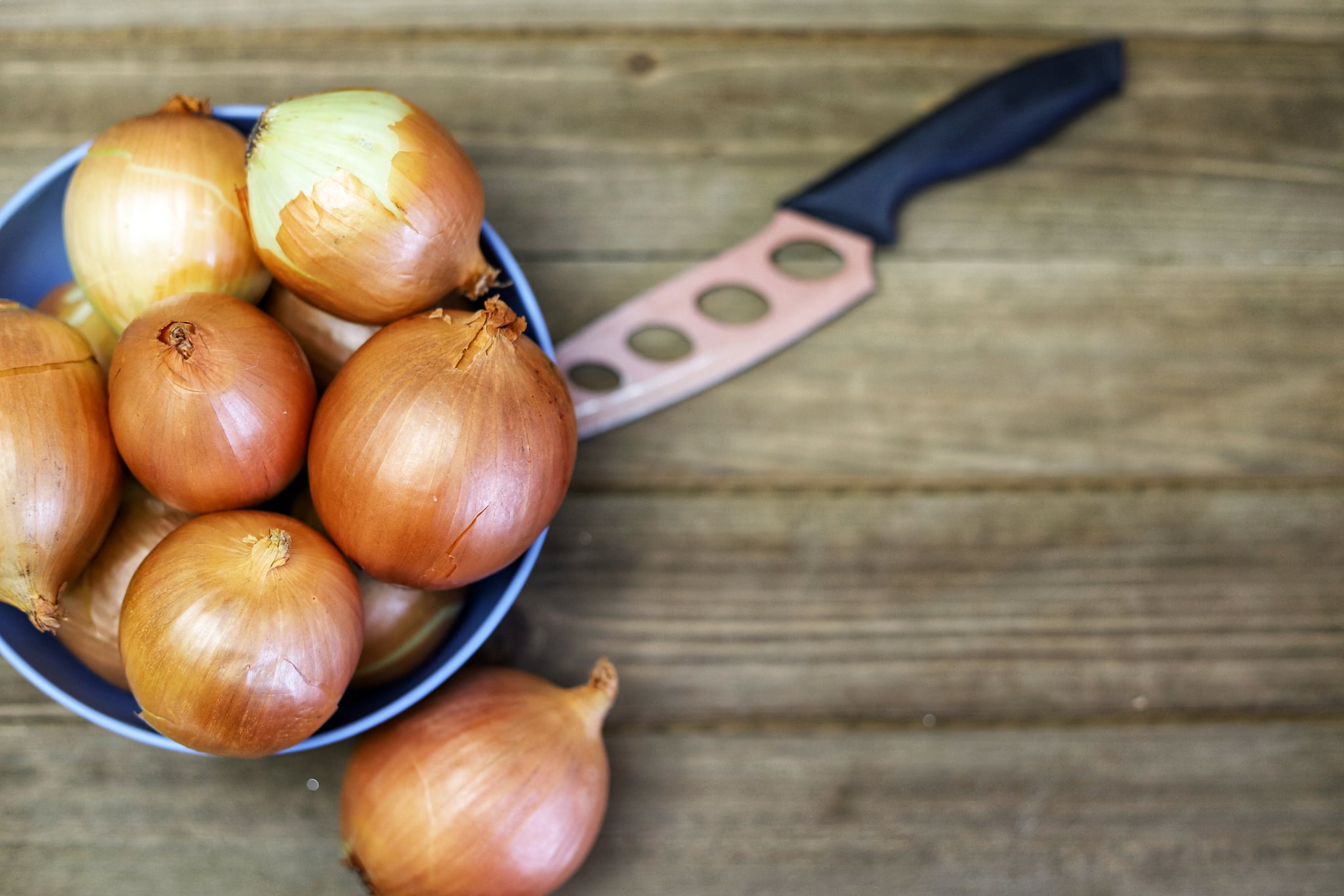 Onions toxic store to cats