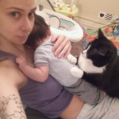 Cat Taking Care of Baby