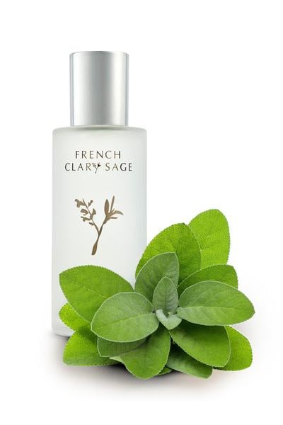 Lisa Hoffman French Clary Sage