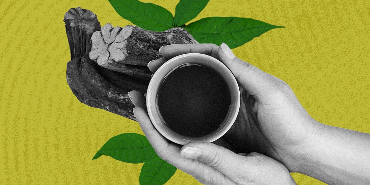 I Went on Ayahuasca Retreat: Here's What Happened | PS Health