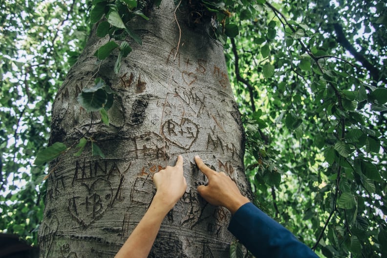 Carve your initials into a tree.