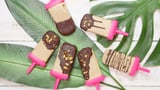 Chocolate Peanut Butter Ice Cream Pops Recipe