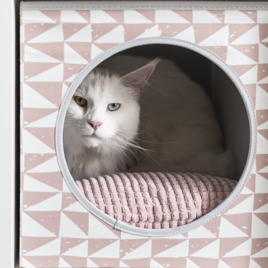 Ikea Launches New 2019 Lurvig Pet Collection