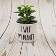 Etsy Is Selling Hilarious Succulent Planters, and We Call Dibs on the "I Wet My Plants" One