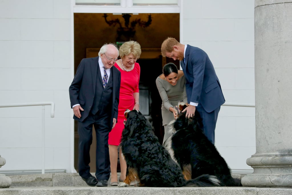 Meghan and Harry had to pause their visit with Ireland's president Michael Higgins and his wife Sabina as they greeted these dogs during their visit to Ireland in July 2018.