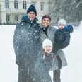 You'll Immediately Want to Frame the Swedish Royal Family's Christmas Card