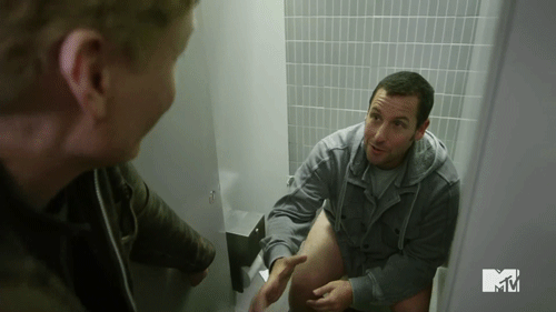 When Adam Sandler Totally Made a Toilet Cameo