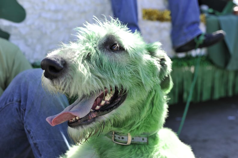 Or, you know, rocking green fur.