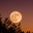 This Limpieza For the Full Moon in Aquarius Will Help You Create Space For Love