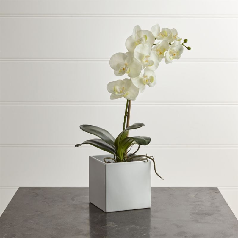 Madeline: Large Artificial Orchid