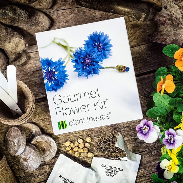Gourmet Flower Kit Christmas Gifts From Amazon POPSUGAR Smart