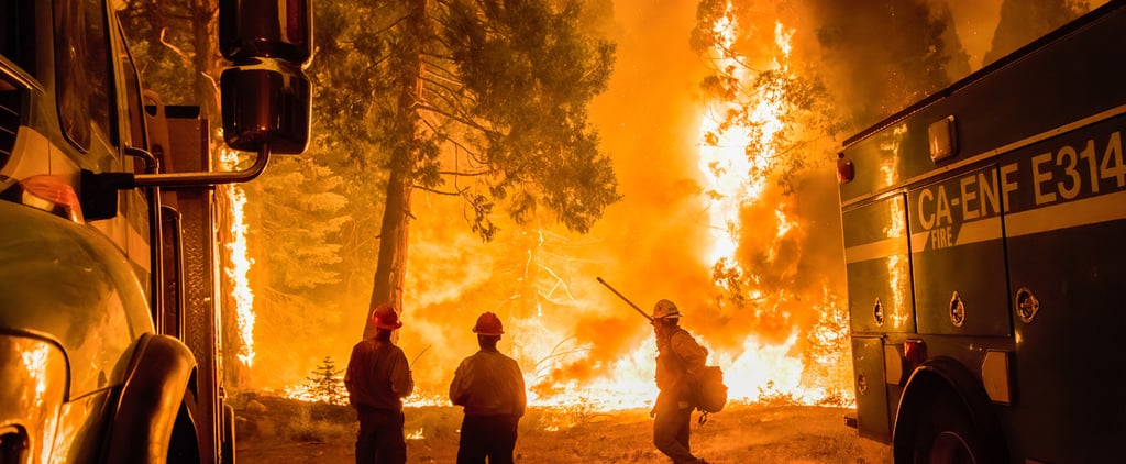 5 Ways to Help California Wildfire Victims in 2021