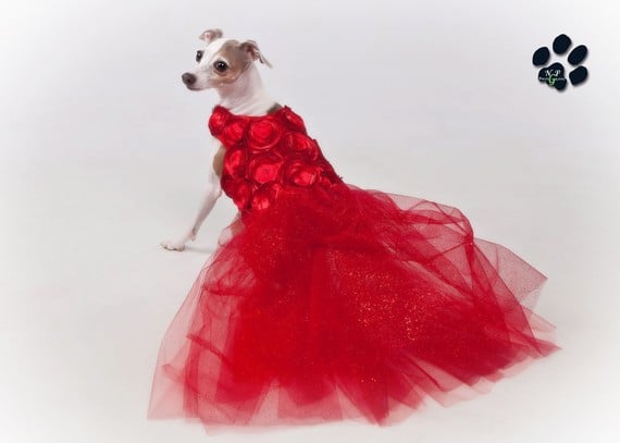 custom-made dog dress