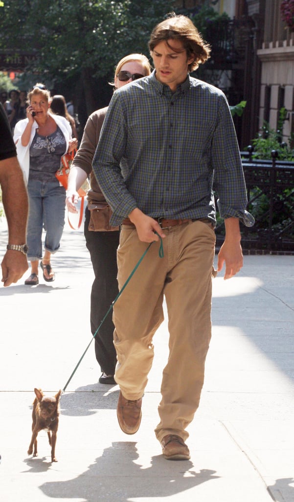 Ashton Kutcher took a tiny pup for a stroll on set in NYC in August 2007.