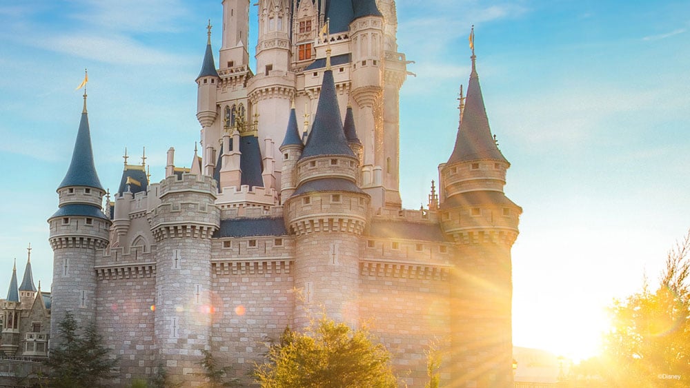 Disney World Cinderella Castle Zoom Background