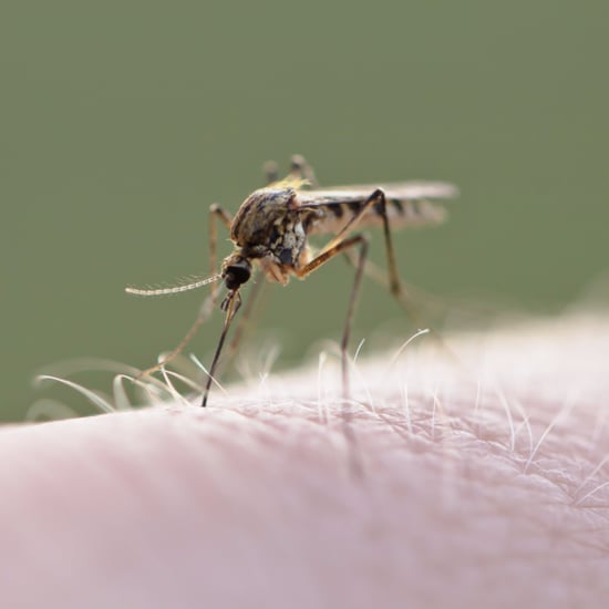 We Are Delaying Our Pregnancy Because of Zika