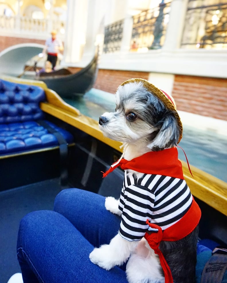No trip to the Venetian would be complete without a fancy glide down the Grand Canal in a gondola.