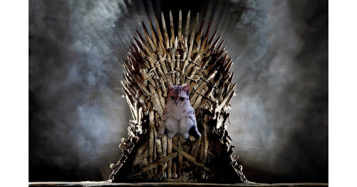 Game Of Thrones Cat