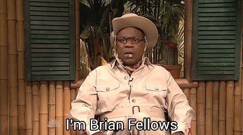 Brian Fellow