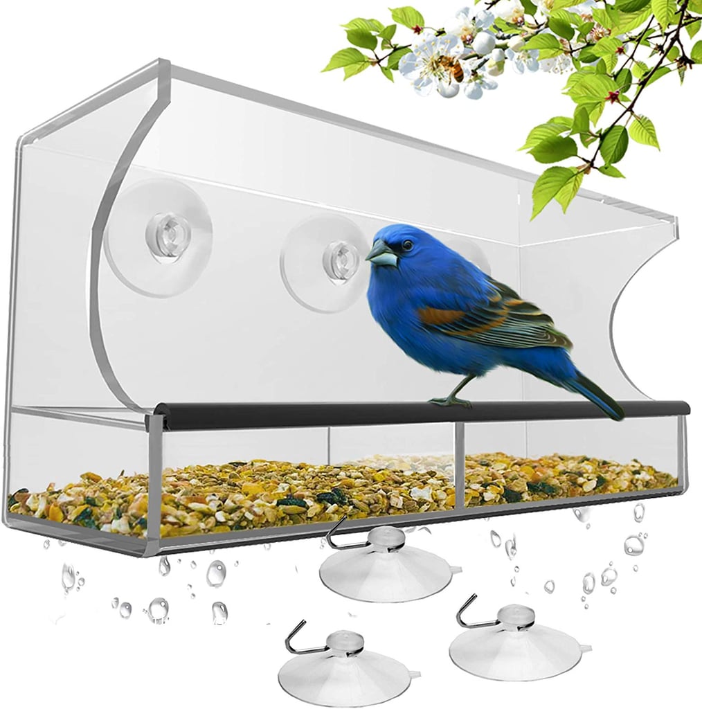 Window Bird Feeder With Strong Suction Cups And Seed Tray Black