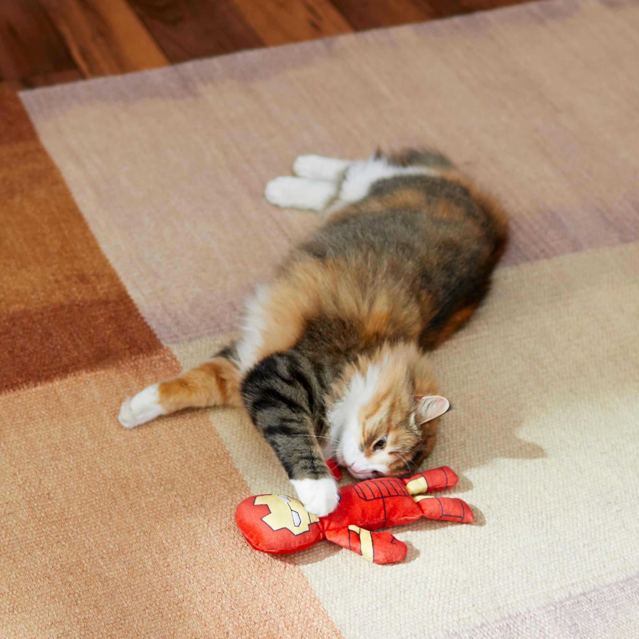 Cat toys top iron man