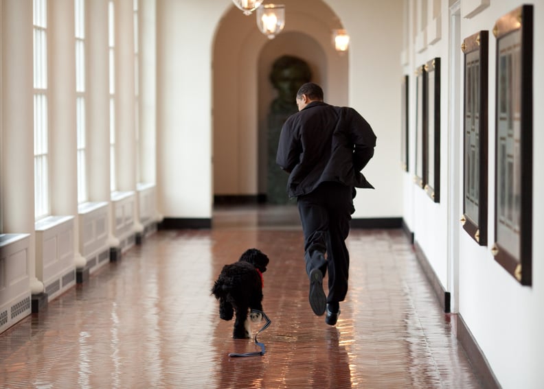 Just a president running along his dog, Bo.