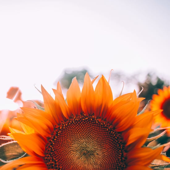 Quotes About Not Giving Up